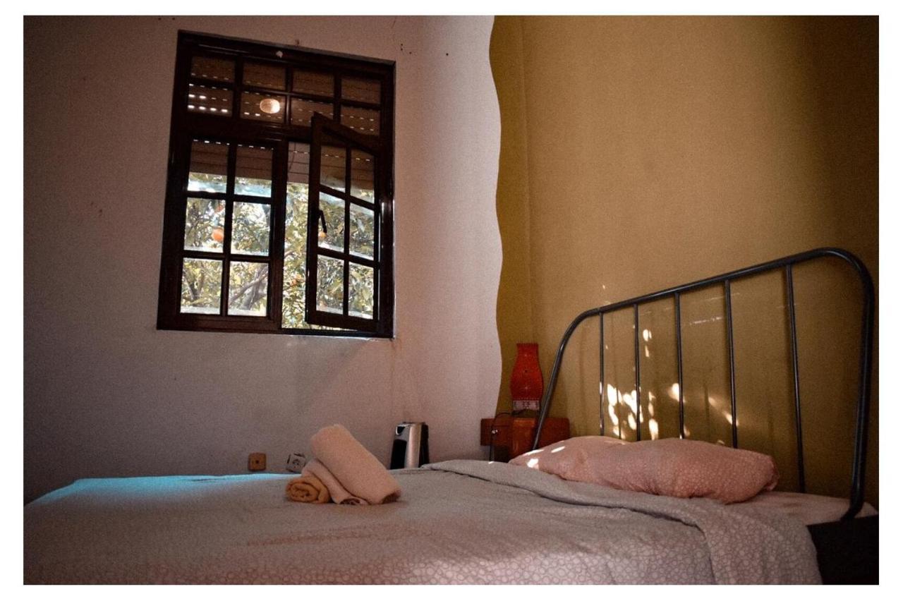 Family Adams House Hostel Braga Ngoại thất bức ảnh